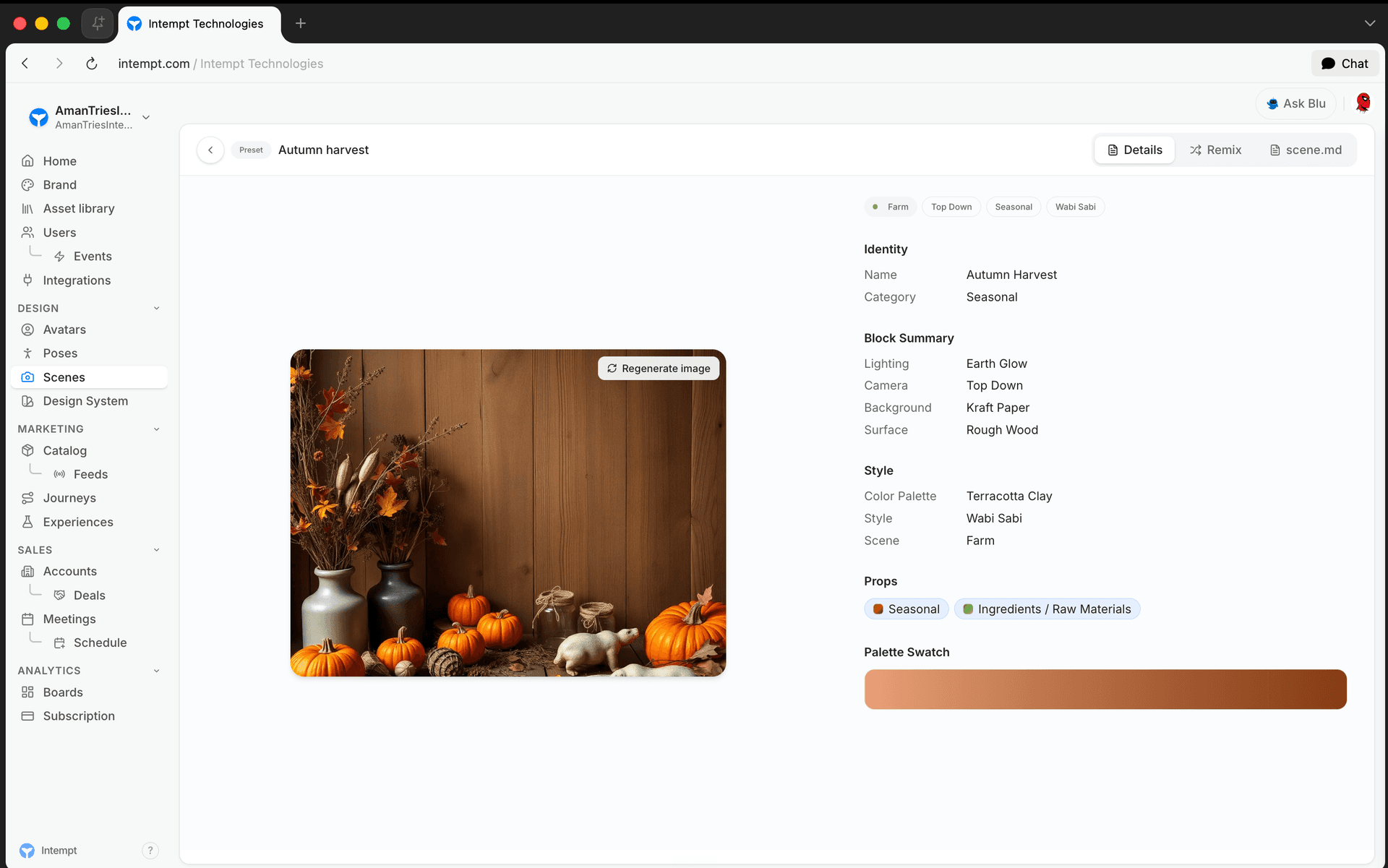 scene detail image block summary style - scenes library overview - Intempt documentation