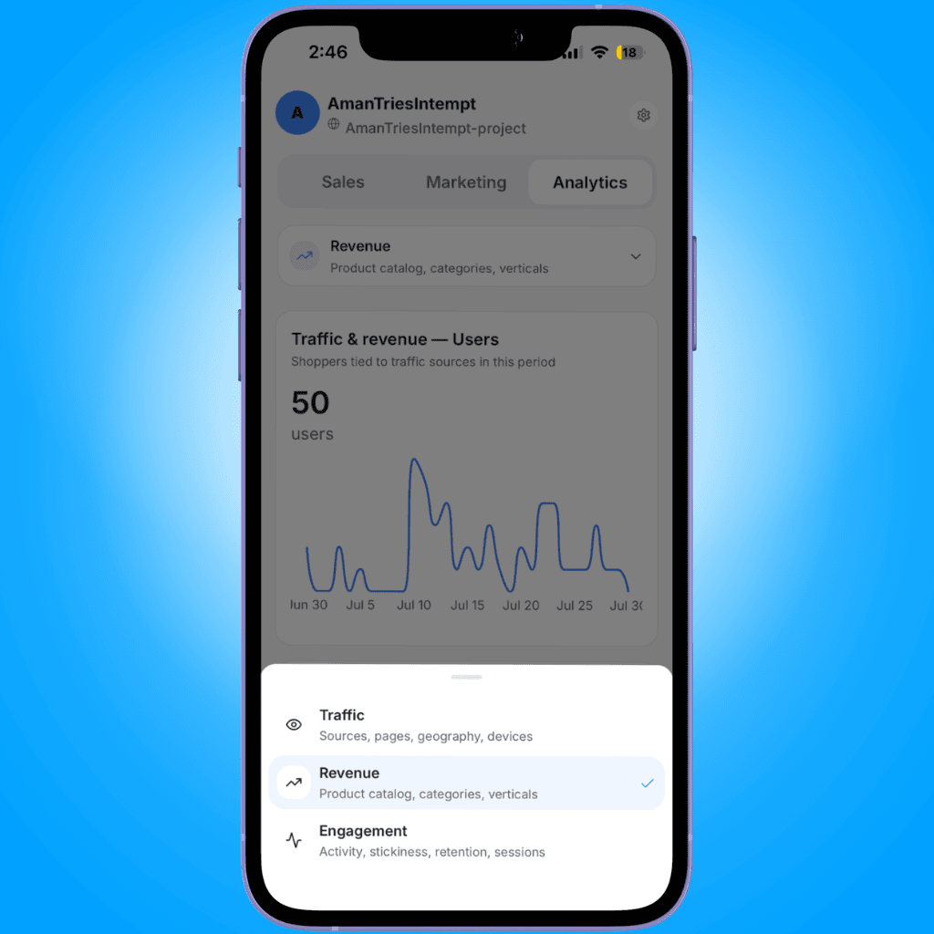 dashboard selector sheet - viewing analytics and dashboards on mobile - Intempt documentation